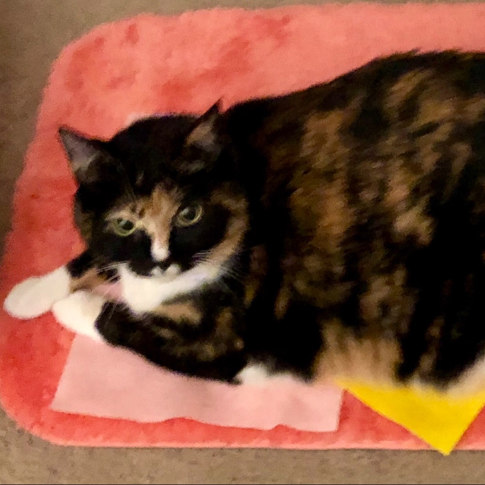 Meet your Posher, Sandra